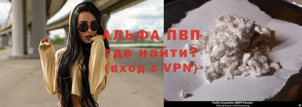 стафф Алзамай