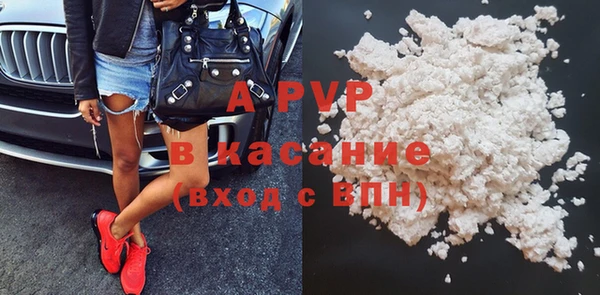 стафф Алзамай